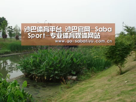 案例展示四(图1)