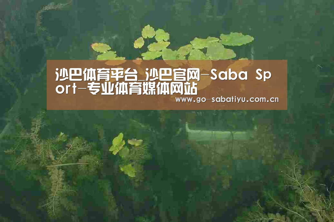 案例展示三(图1)