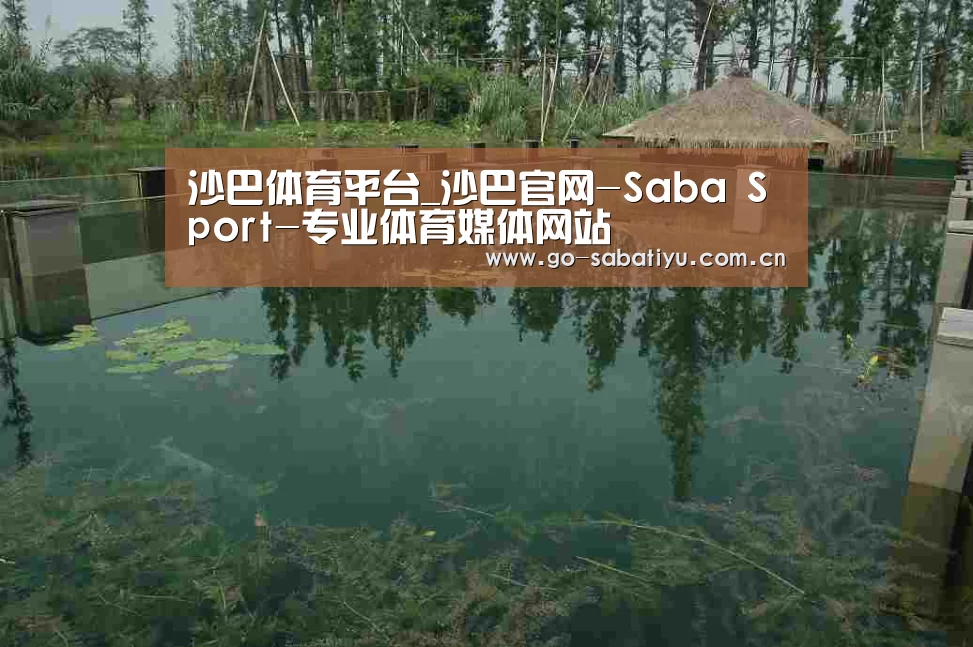 案例展示二(图1)