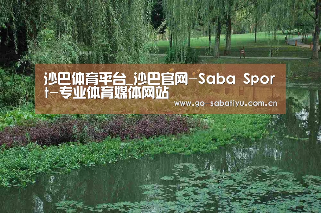 案例展示一(图1)