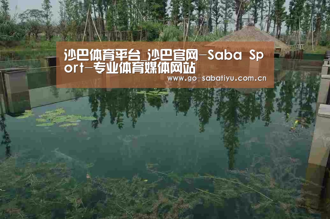 案例展示二