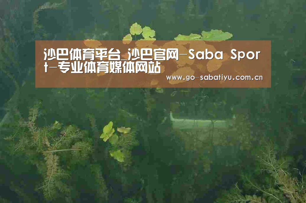 案例展示三