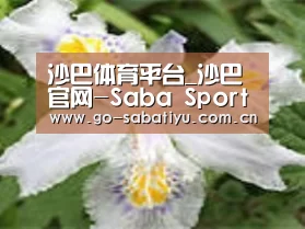 产品名称二
