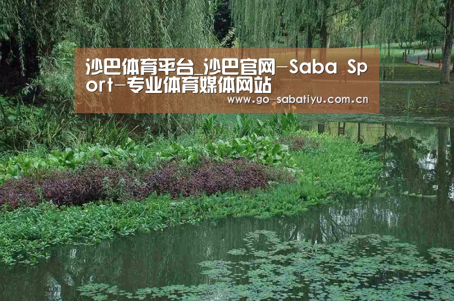 案例展示一