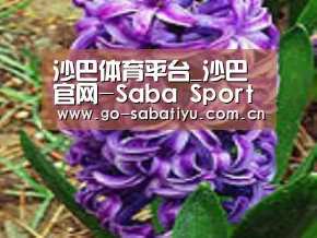 产品名称八