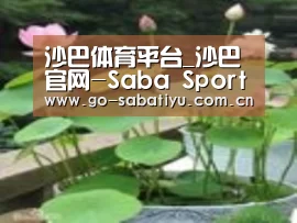 产品名称一