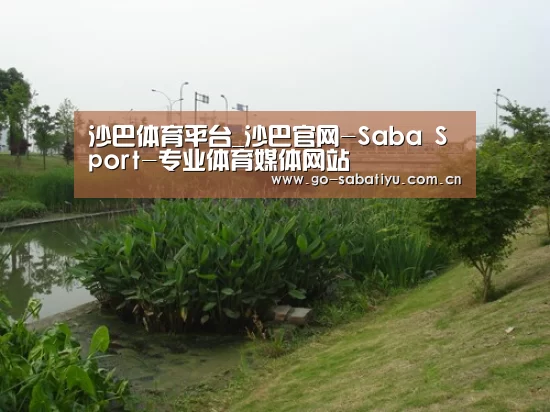 案例展示四