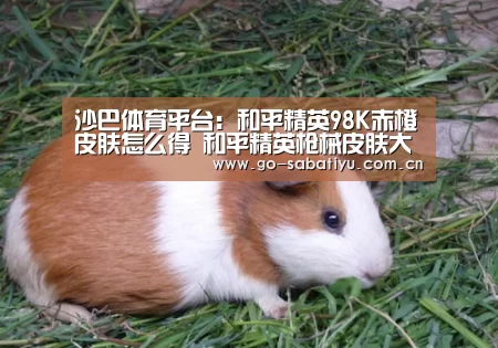沙巴足球