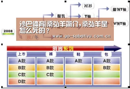 沙巴足球