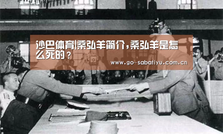 沙巴体育平台