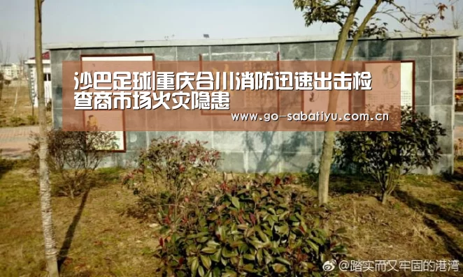 沙巴体育