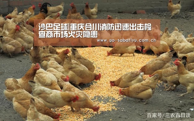 沙巴足球