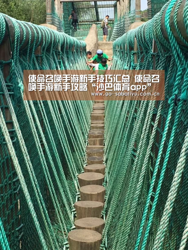 使命召唤手游新手技巧汇总 使命召唤手游新手攻略“沙巴体育app”(图2) 沙巴体育app