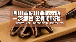 四川省凉山消防支队一支综合性消防救援队伍的首个春节:沙巴体育app(图2) 沙巴体育平台