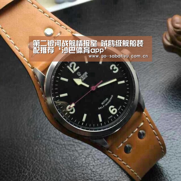 第二银河战舰情报室 贼鸥级舰船装配推荐‘沙巴体育app’(图4) 沙巴体育