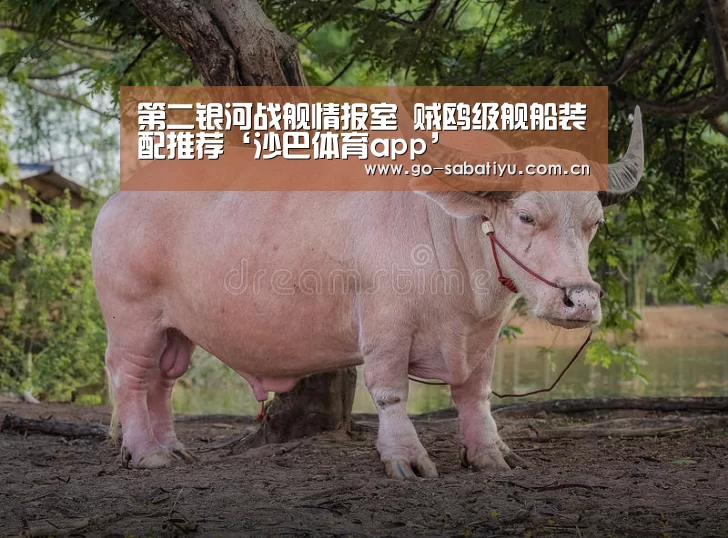 第二银河战舰情报室 贼鸥级舰船装配推荐‘沙巴体育app’(图3) 沙巴体育app