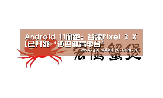 Android 11偷跑:谷歌Pixel 2 XL已升级‘沙巴体育平台’(图2) 沙巴体育
