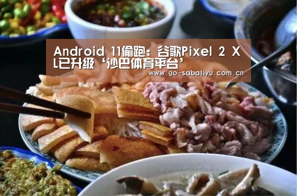 Android 11偷跑:谷歌Pixel 2 XL已升级‘沙巴体育平台’(图3) 沙巴体育